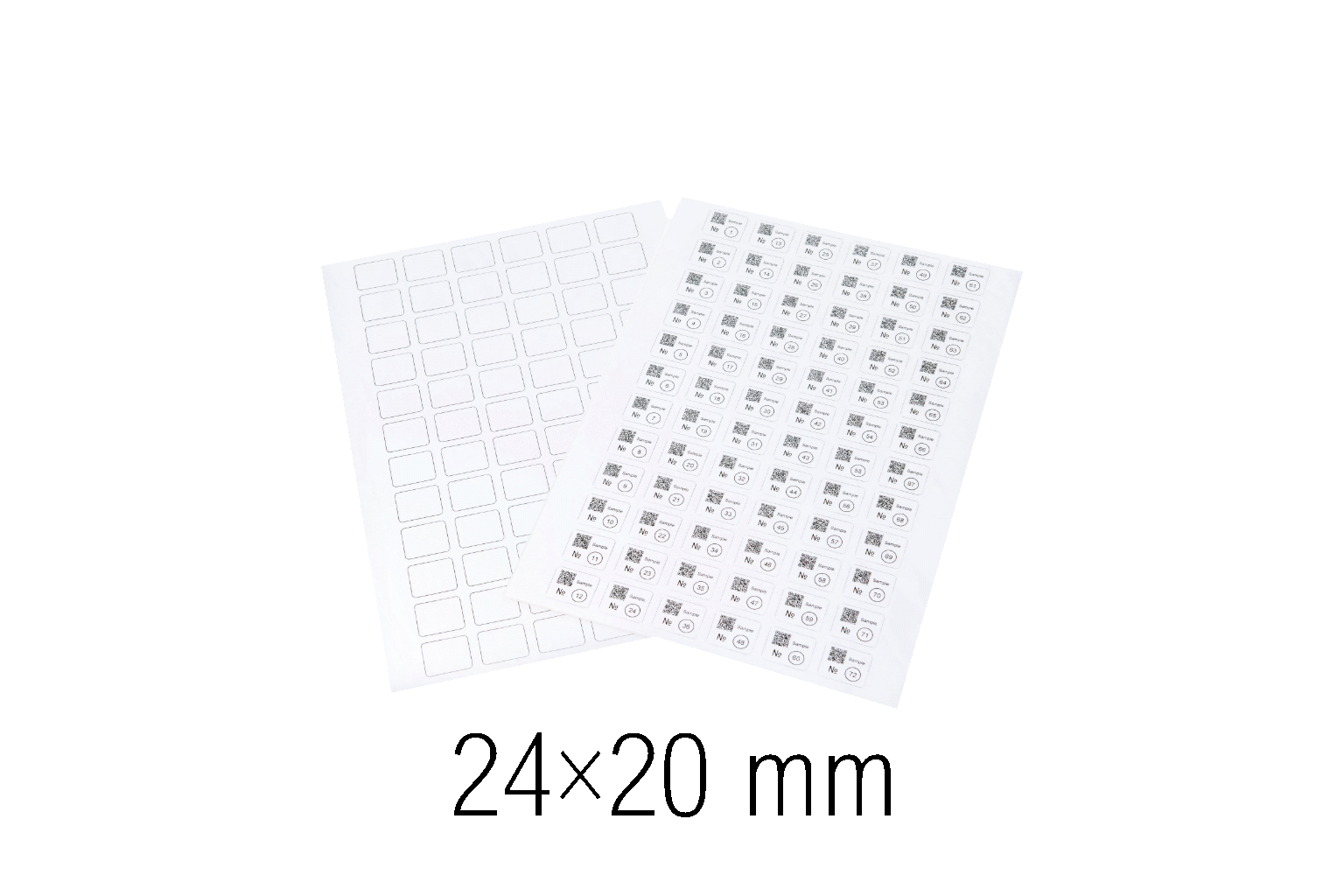 24 × 20 mm