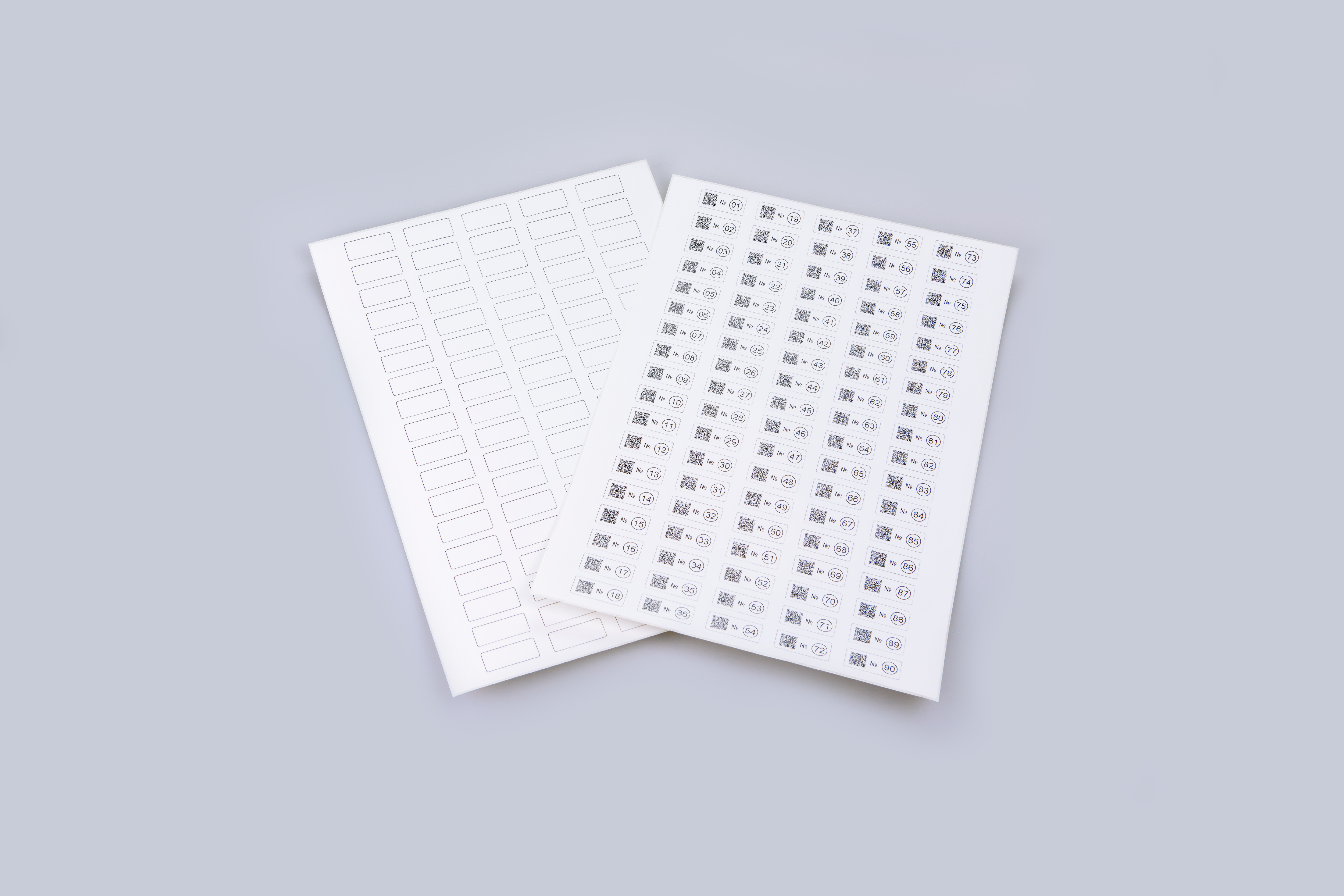 Scienova 28 × 12 mm A4 Cryo Labels (20 sheets and labelling