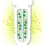 Scienova Blog Dialyse Funktionsweise Abhängigkeiten und Anwendungen